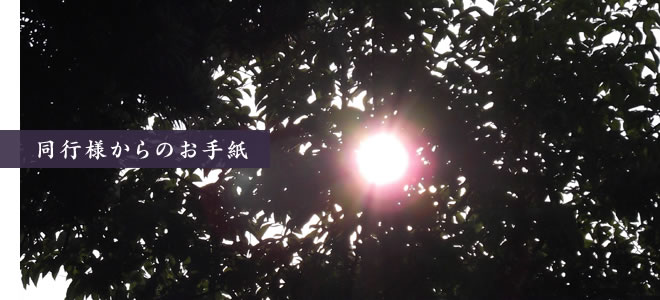 新着情報